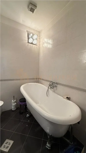 Casa de vanzare, ideala pentru locuinta si birouri, zona Parcul Regina Maria - imagine 15