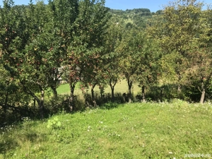 teren si casa  - imagine 4