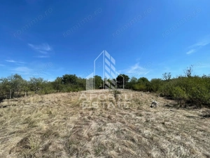 Casa cu teren 3407 mp, de vanzare, Seceani, 26 km de Timisoara. - imagine 7