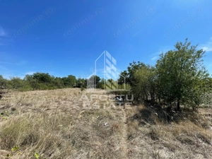 Casa cu teren 3407 mp, de vanzare, Seceani, 26 km de Timisoara. - imagine 5