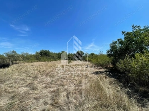 Casa cu teren 3407 mp, de vanzare, Seceani, 26 km de Timisoara. - imagine 6