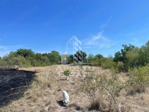 Casa cu teren 3407 mp, de vanzare, Seceani, 26 km de Timisoara. - imagine 4