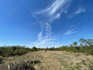 Casa cu teren 3407 mp, de vanzare, Seceani, 26 km de Timisoara. - imagine 3