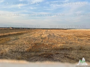 TEREN 2500MP BALACEANCA - imagine 2