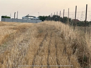 TEREN 2500MP BALACEANCA - imagine 6