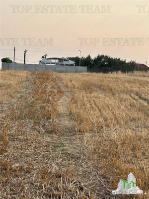 TEREN 2500MP BALACEANCA - imagine 5