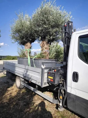 Transport general dube carosate 3,5 T - imagine 3