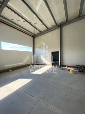 Hala noua de inchiriat 550 mp, birouri, parcare, Sacalaz. - imagine 4
