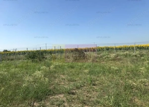 Teren Domnesti- Depozit Emag. - imagine 3 Teren Domnesti- Depozit Emag. - imagine 3