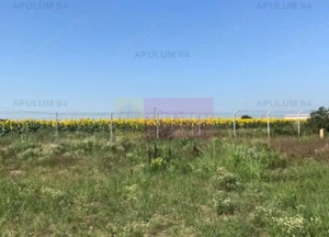 Teren Domnesti- Depozit Emag. - imagine 2 Teren Domnesti- Depozit Emag. - imagine 2