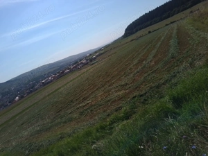 Chinteni 40 euro mp - imagine 7