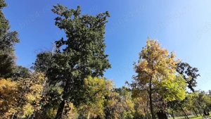 Vând teren extravilan 