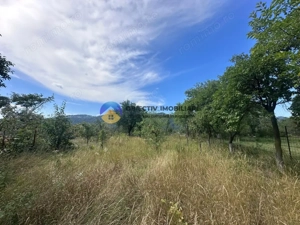 Teren + Casă de Vânzare – 1170 mp – Dumbrava Roșie, Neamț - imagine 6