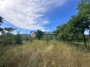 Teren + Casă de Vânzare – 1170 mp – Dumbrava Roșie, Neamț - imagine 10