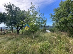 Teren + Casă de Vânzare – 1170 mp – Dumbrava Roșie, Neamț - imagine 13