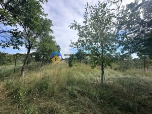 Teren + Casă de Vânzare – 1170 mp – Dumbrava Roșie, Neamț - imagine 17