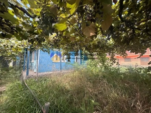 Teren + Casă de Vânzare – 1170 mp – Dumbrava Roșie, Neamț - imagine 3