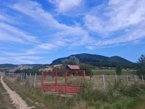 Vând teren extravilan. - imagine 4 Vând teren extravilan. - imagine 4