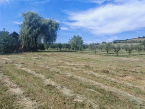 Vând teren extravilan. - imagine 6 Vând teren extravilan. - imagine 6