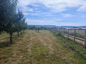 Vând teren extravilan. - imagine 5 Vând teren extravilan. - imagine 5