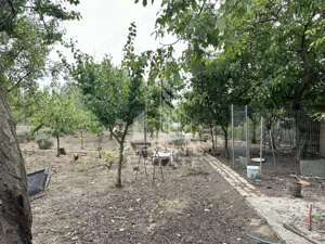 Casa cu anexa si teren 1457 in localitatea Carani - imagine 12 Casa cu anexa si teren 1457 in localitatea Carani - imagine 12