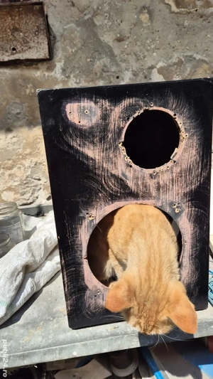 Statie amplificare si boxe - imagine 3