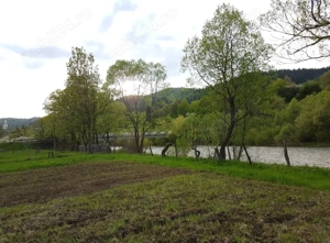 2866 mp teren direct la râul Mureș, la munte, cu casă bătrânească din bârne
