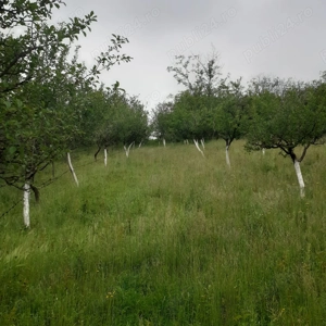 Casă de vânzare- preț negociabil  - imagine 5 Casă de vânzare- preț negociabil  - imagine 5