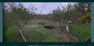 Casă de vânzare- preț negociabil  - imagine 4 Casă de vânzare- preț negociabil  - imagine 4