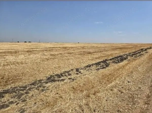 Teren extravilan Zimnicea cota parte 1/6 ID: R2688418 - imagine 7