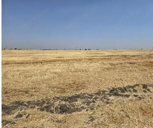 Teren extravilan Zimnicea cota parte 1/6 ID: R2688418 - imagine 4