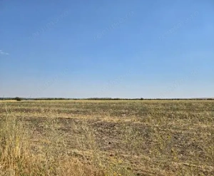 Teren extravilan Smardioasa, cota 1/6, ID: R2688427 - imagine 3