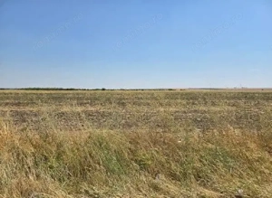 Teren extravilan Smardioasa, cota 1/6, ID: R2688427 - imagine 5