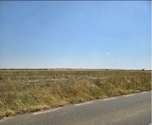 Teren extravilan Smardioasa, cota 1/6, ID: R2688427