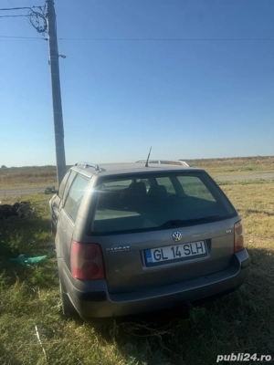 Vand intreaga sau bucati