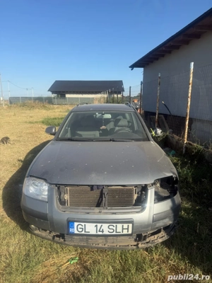 Vand intreaga sau bucati - imagine 3