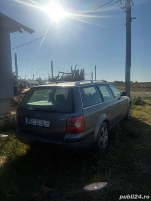 Vand intreaga sau bucati - imagine 2