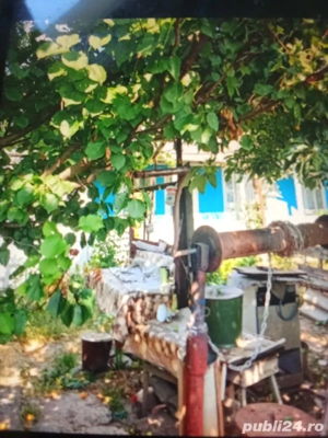 Vand casa batraneasca in Roșiori  - imagine 5