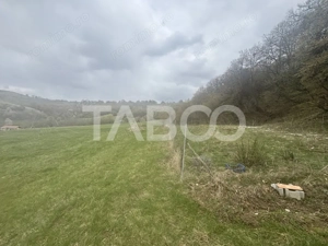Teren de vanzare cu deschidere la padure 15600 mp in Hamba Sibiu - imagine 4