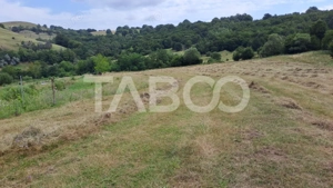 Teren de vanzare cu deschidere la padure 15600 mp in Hamba Sibiu - imagine 2