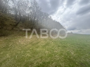 Teren de vanzare cu deschidere la padure 15600 mp in Hamba Sibiu - imagine 3
