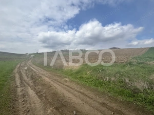 Teren intravilan  4600mp cu deschidere la drum 37ml in Sura Mare Sibiu - imagine 3