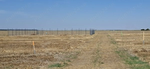 Afumați Petrăchioaia 10 000 mp 