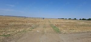 Afumați Petrăchioaia 10 000 mp  - imagine 5