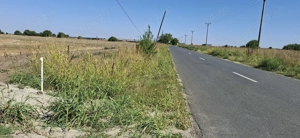 Afumați Petrăchioaia 10 000 mp  - imagine 8