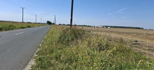 Afumați Petrăchioaia 10 000 mp  - imagine 4