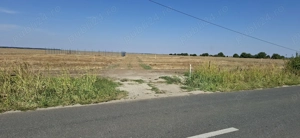 Afumați Petrăchioaia 10 000 mp  - imagine 7