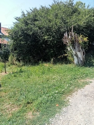 De vanzare 2 loturi, 913 mp situate in str Libertati 123A, Breaza de Jos  - imagine 5