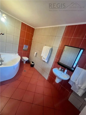 PENSIUNE DEOSEBITA, SIMON, BRAN - imagine 12