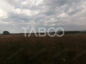 Teren de vanzare de 9.000 mp la sosea intre Cristian si Sacel - imagine 2